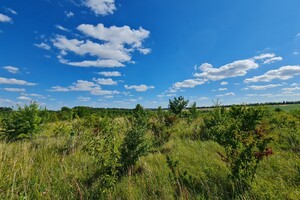 Продается земельный участок 75 соток в Хмельницкой области, цена: 80000 $