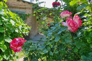 Продаж будинку, Вінниця, р‑н. Старе місто, Покришкіна вулиця