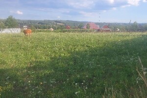 Продается земельный участок 25 соток в Черновицкой области, цена: 20000 $
