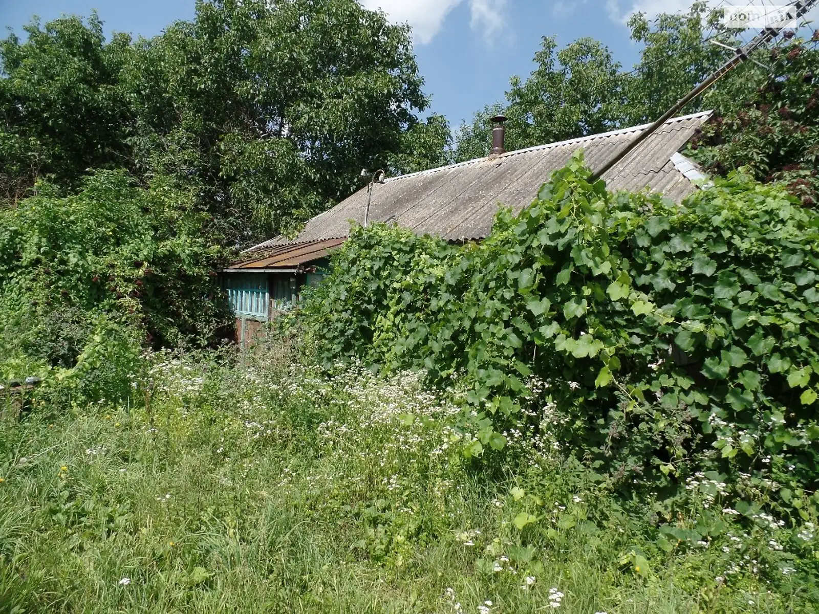 Продается земельный участок 61 соток в Винницкой области - фото 2