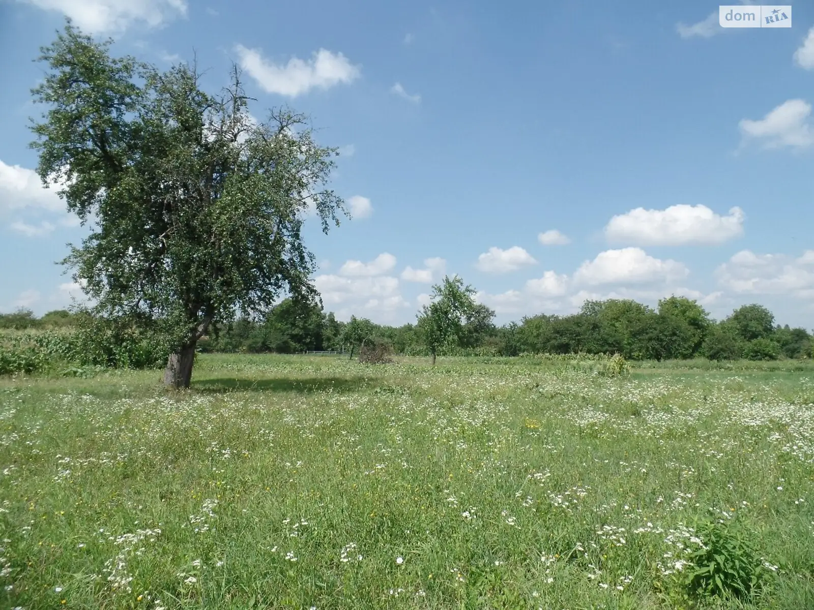 Продається земельна ділянка 61 соток у Вінницькій області, цена: 17999 $ - фото 1