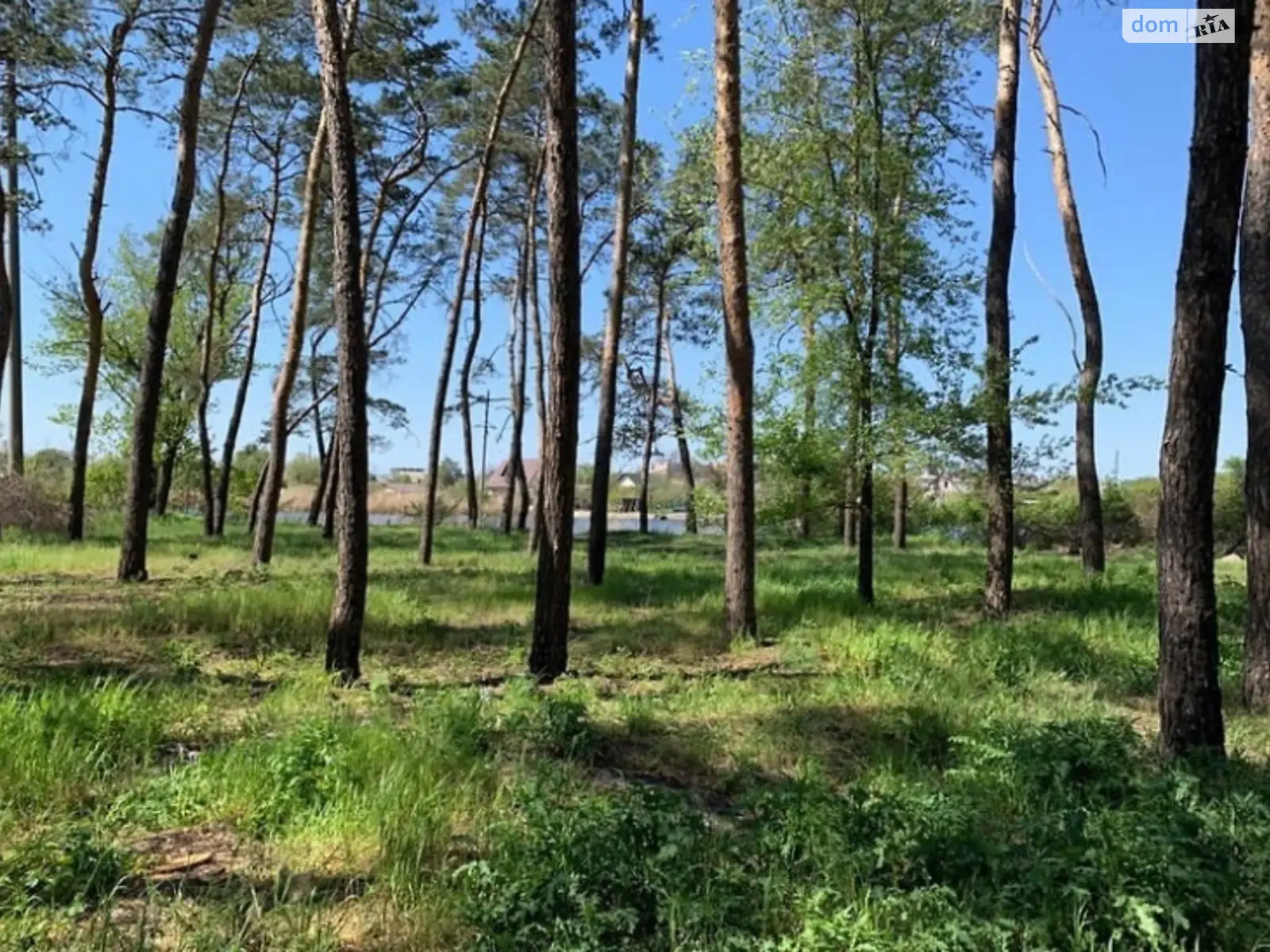 Продається земельна ділянка 20 соток у Дніпропетровській області, цена: 50000 $