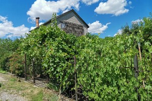 Продаж дачі, Запоріжжя, c. Відрадне, Дачна вулиця