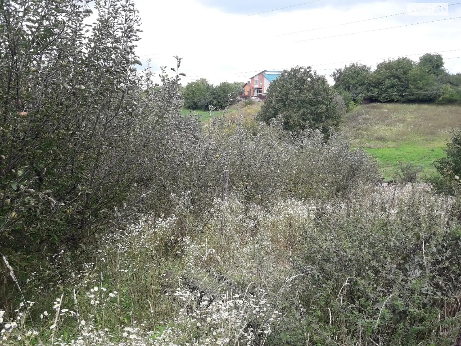Продается земельный участок 16 соток в Винницкой области - фото 3