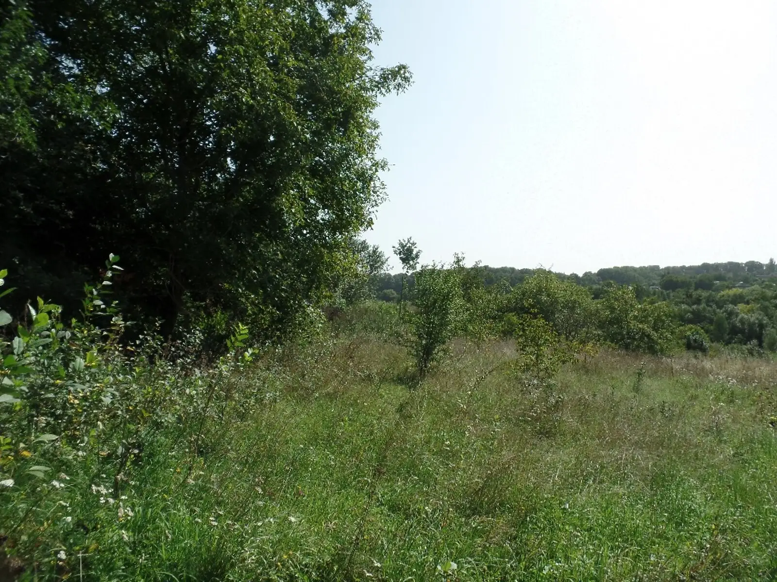 Продається земельна ділянка 33 соток у Вінницькій області - фото 4