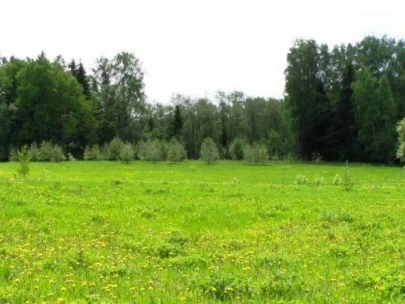 Продается земельный участок 0.34 соток в Одесской области, цена: 29000 $