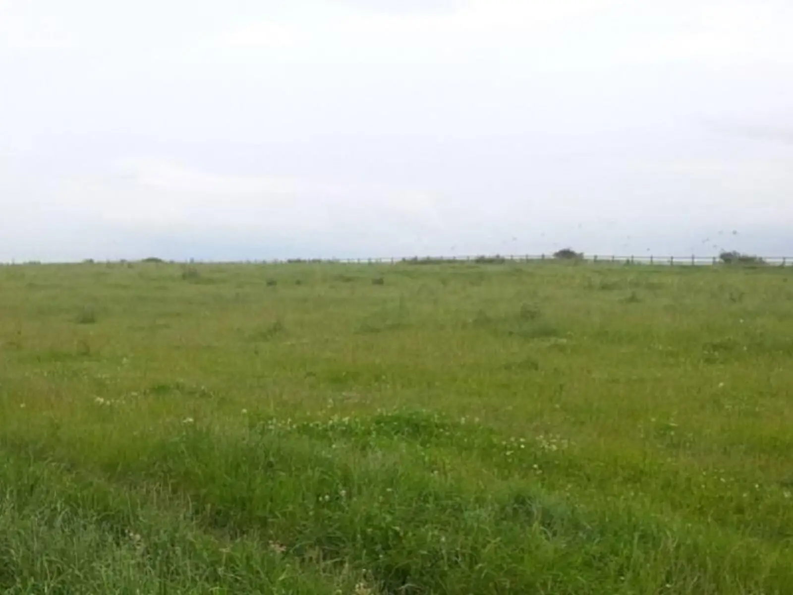 Продается земельный участок 6.1 соток в Одесской области - фото 3