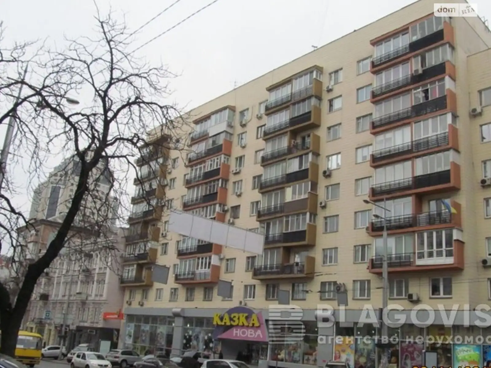 Продается 1-комнатная квартира 52 кв. м в Киеве, ул. Большая Васильковская