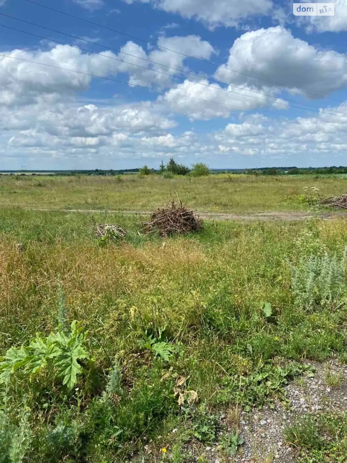 Продается земельный участок 100 соток в Винницкой области - фото 3