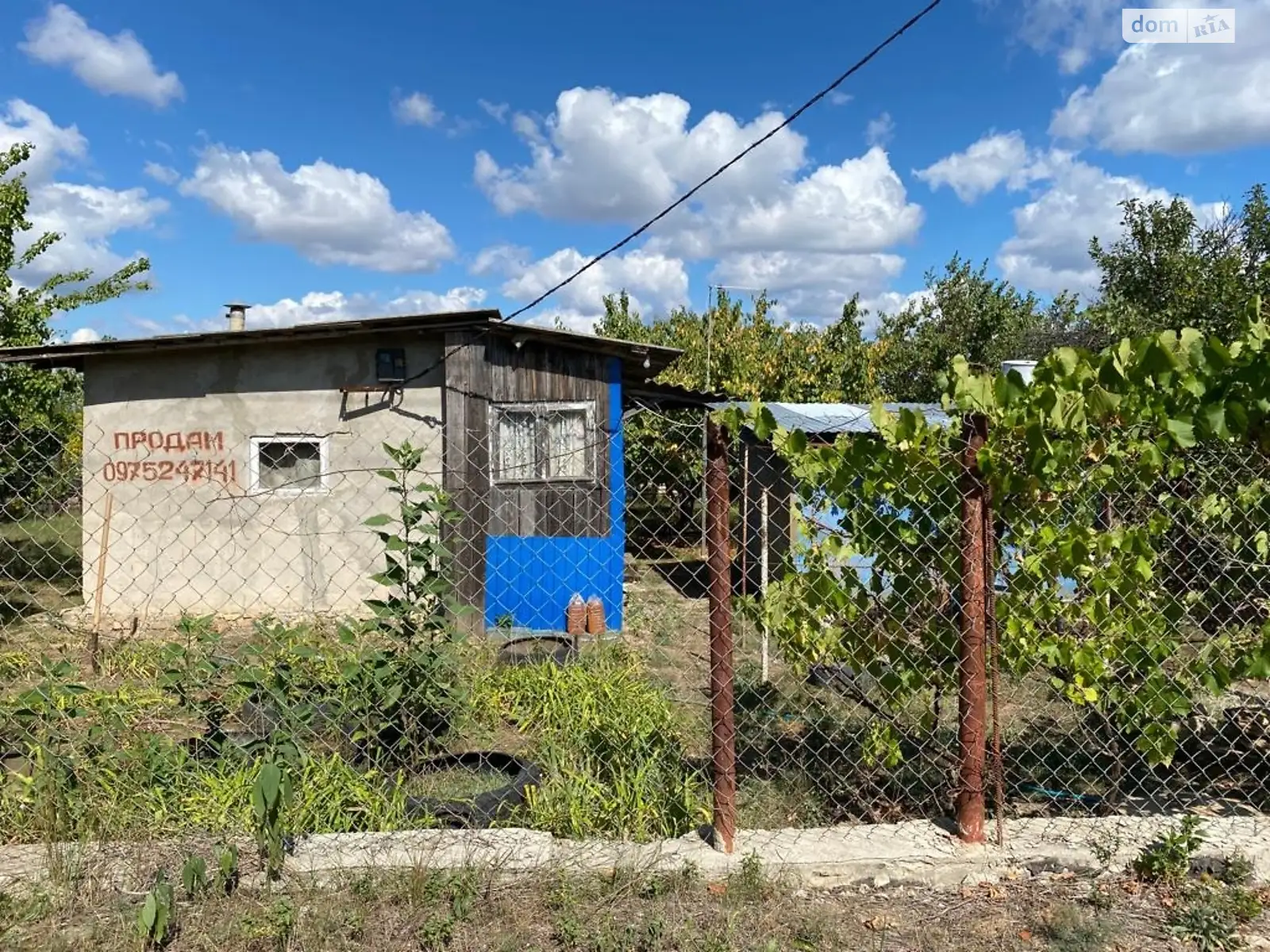 вулиця Сиреневая Любопіль, цена: 2500 $ - фото 1