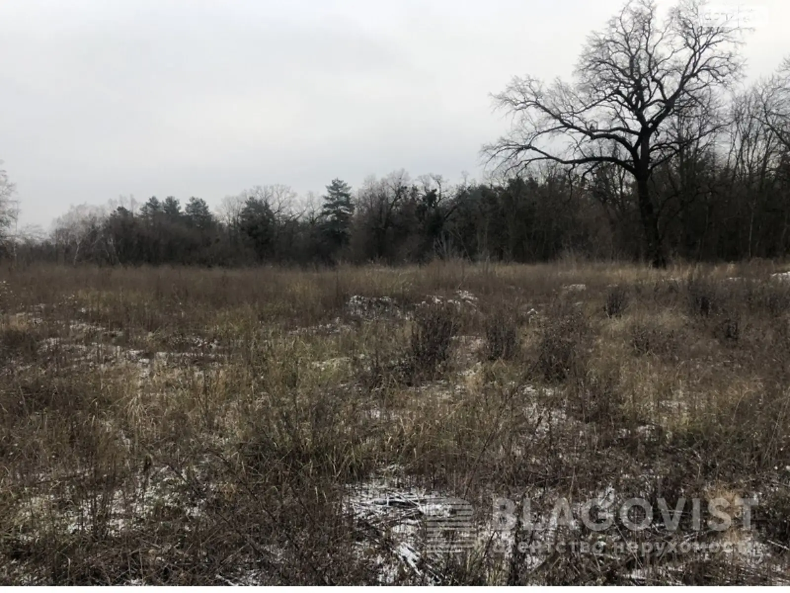 Продается земельный участок 63 соток в Киевской области, цена: 900000 $ - фото 1