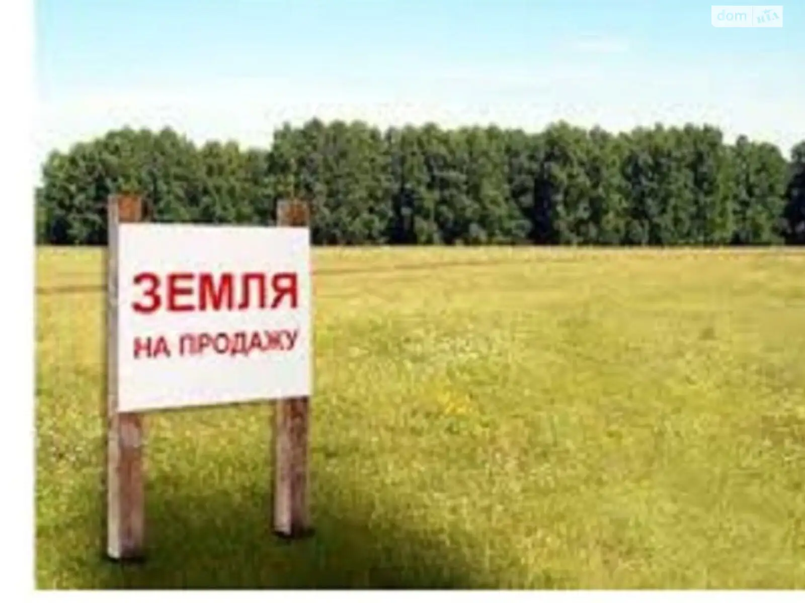 Продается земельный участок 360 соток в Киевской области - фото 2