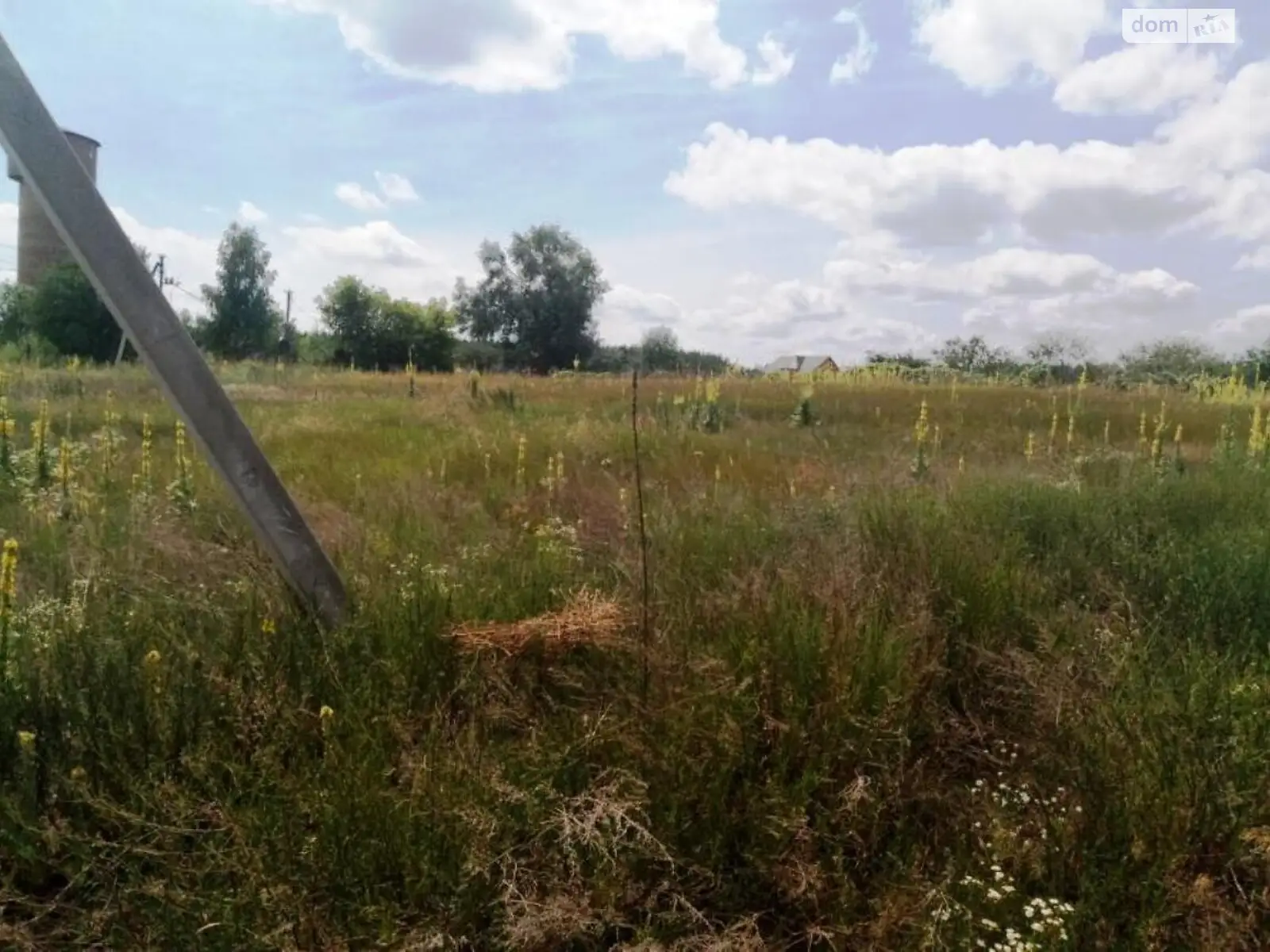 Продается земельный участок 24 соток в Киевской области - фото 3