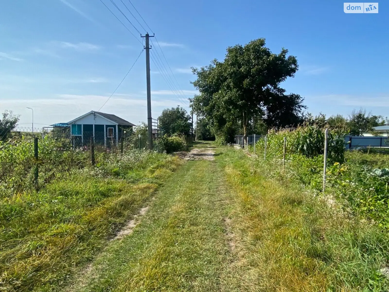 Продается земельный участок 12.4 соток в Тернопольской области - фото 3