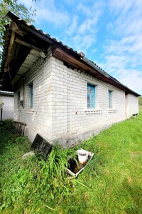 Продаж будинку, Житомир, c. Піски