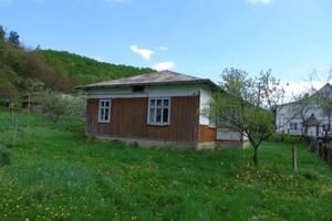 Продажа дома, Ивано-Франковская, Косов, c. Малый Рожин, Центральна