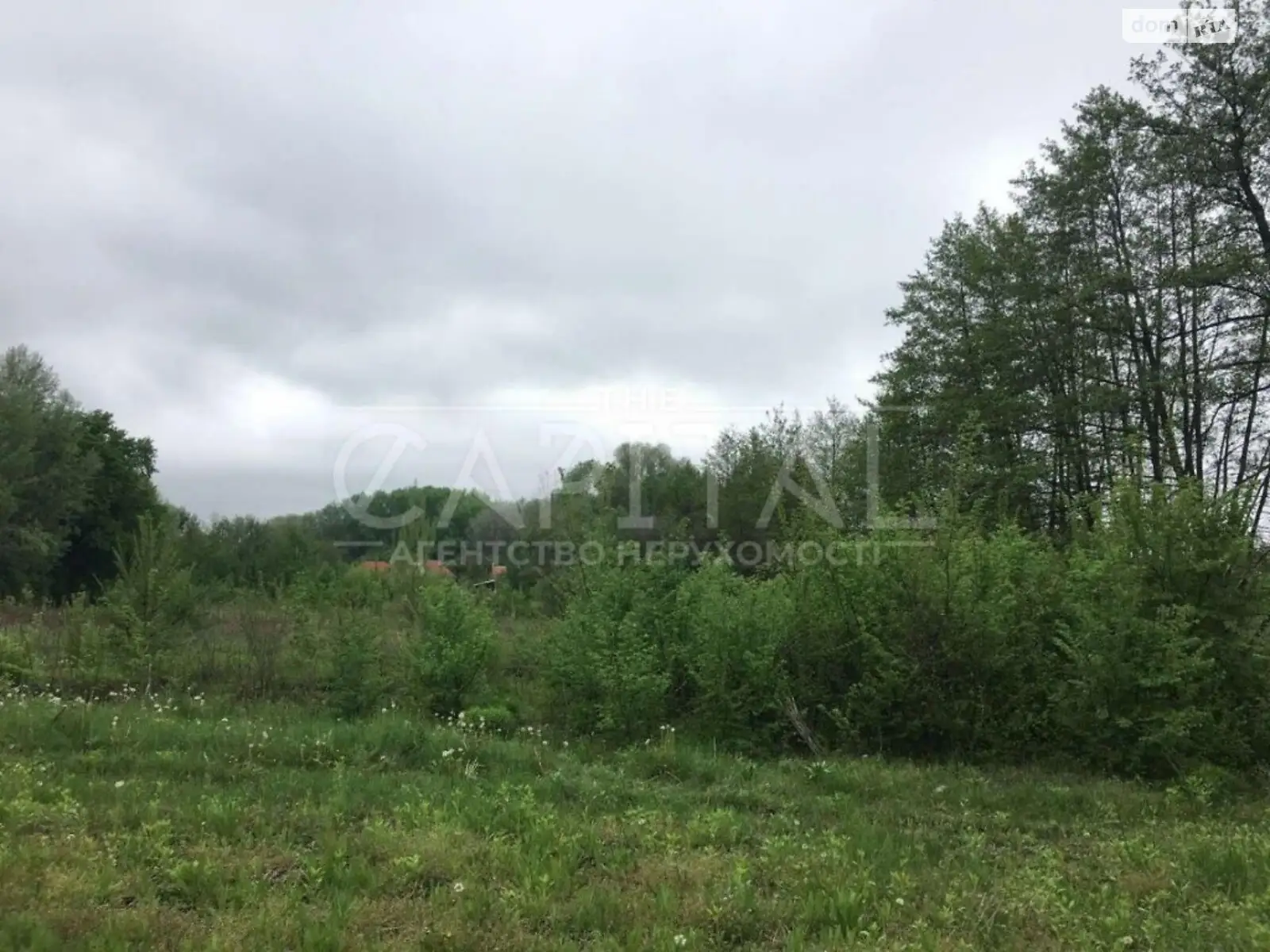 Корчеватое Голосеевский Киев, цена: 64000 $ - фото 1