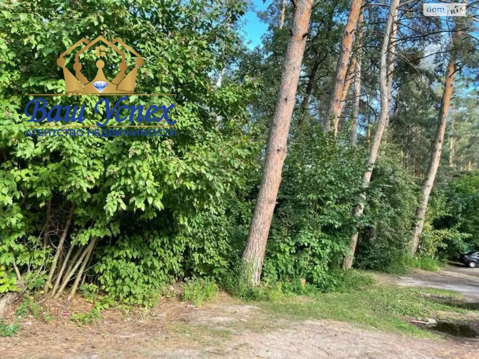 Продается земельный участок 60 соток в Киевской области - фото 3
