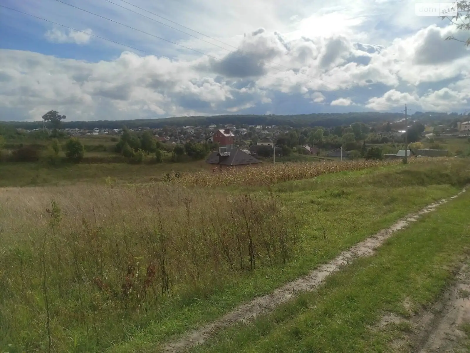 Продається земельна ділянка 27.4 соток у Тернопільській області - фото 2
