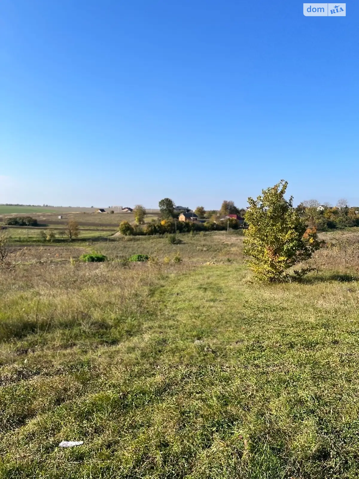 Продается земельный участок 16 соток в Тернопольской области - фото 2