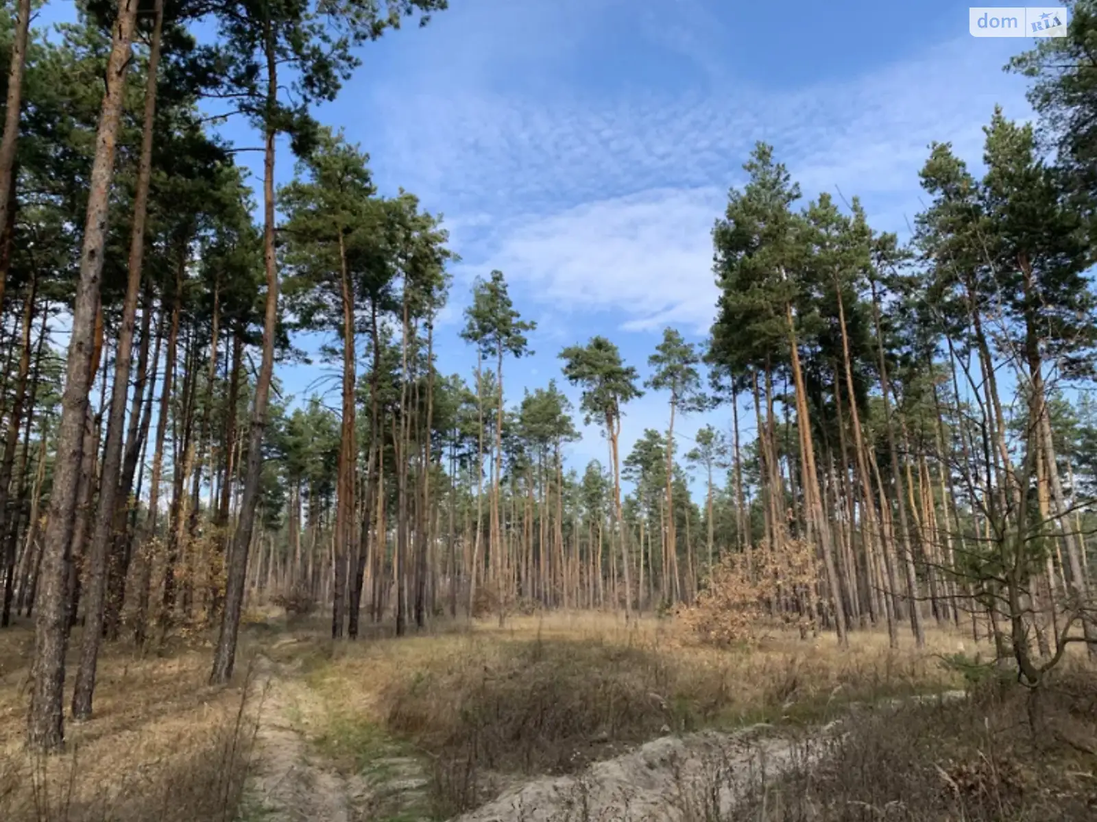 Продається земельна ділянка 25 соток у Дніпропетровській області, цена: 32000 $