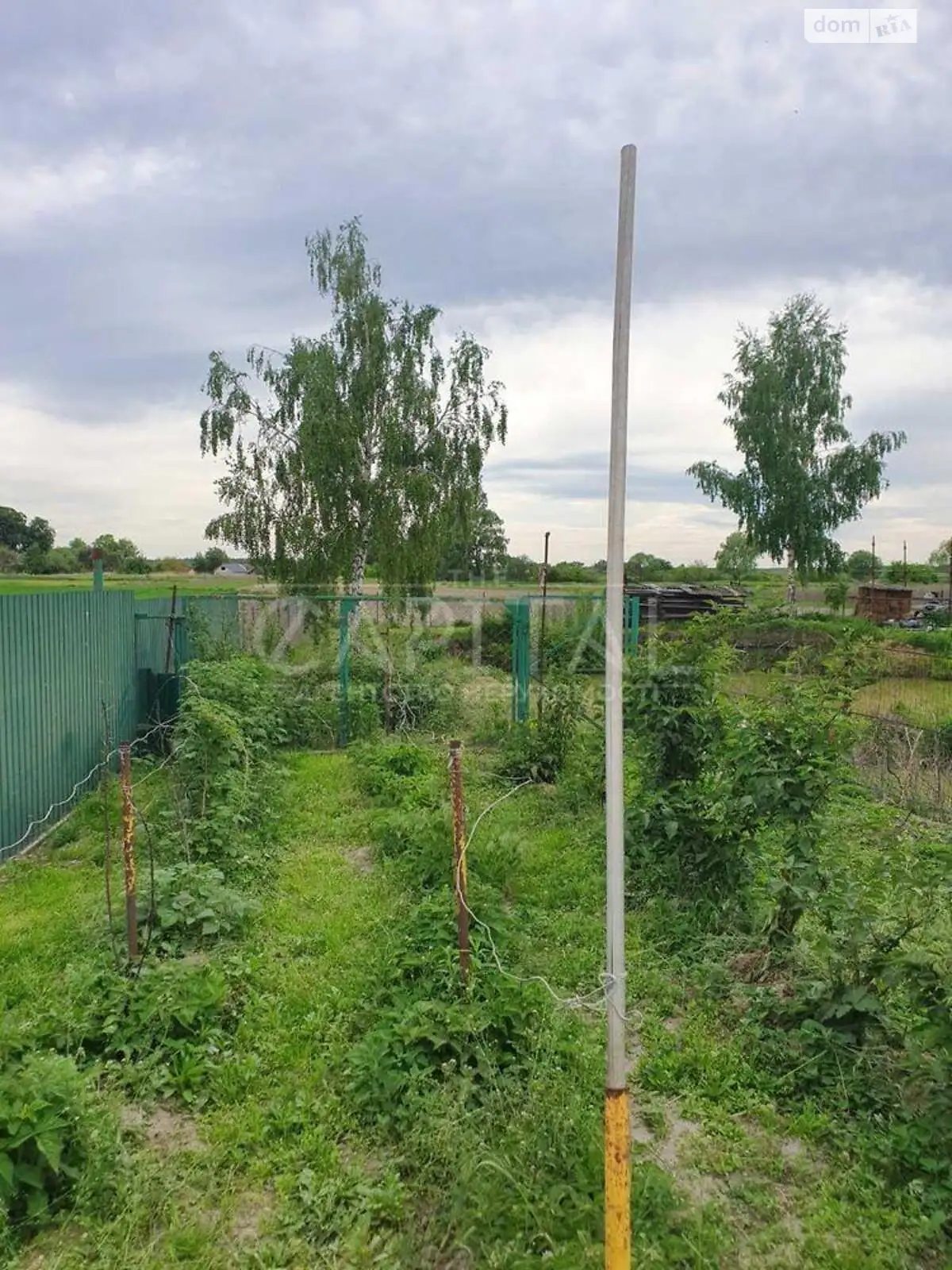 Продается земельный участок 90 соток в Киевской области - фото 3
