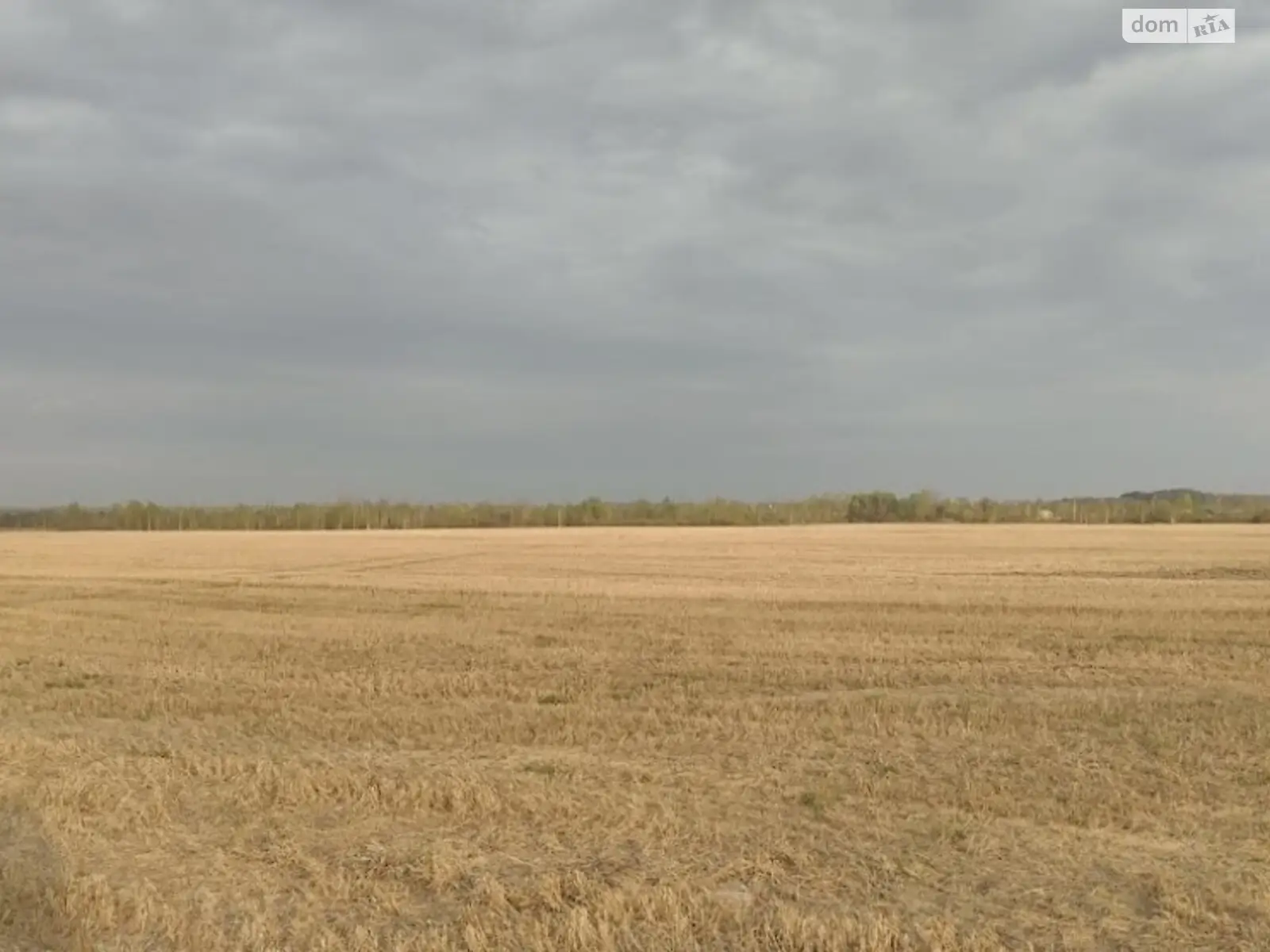 Продается земельный участок 1400 соток в Киевской области - фото 3