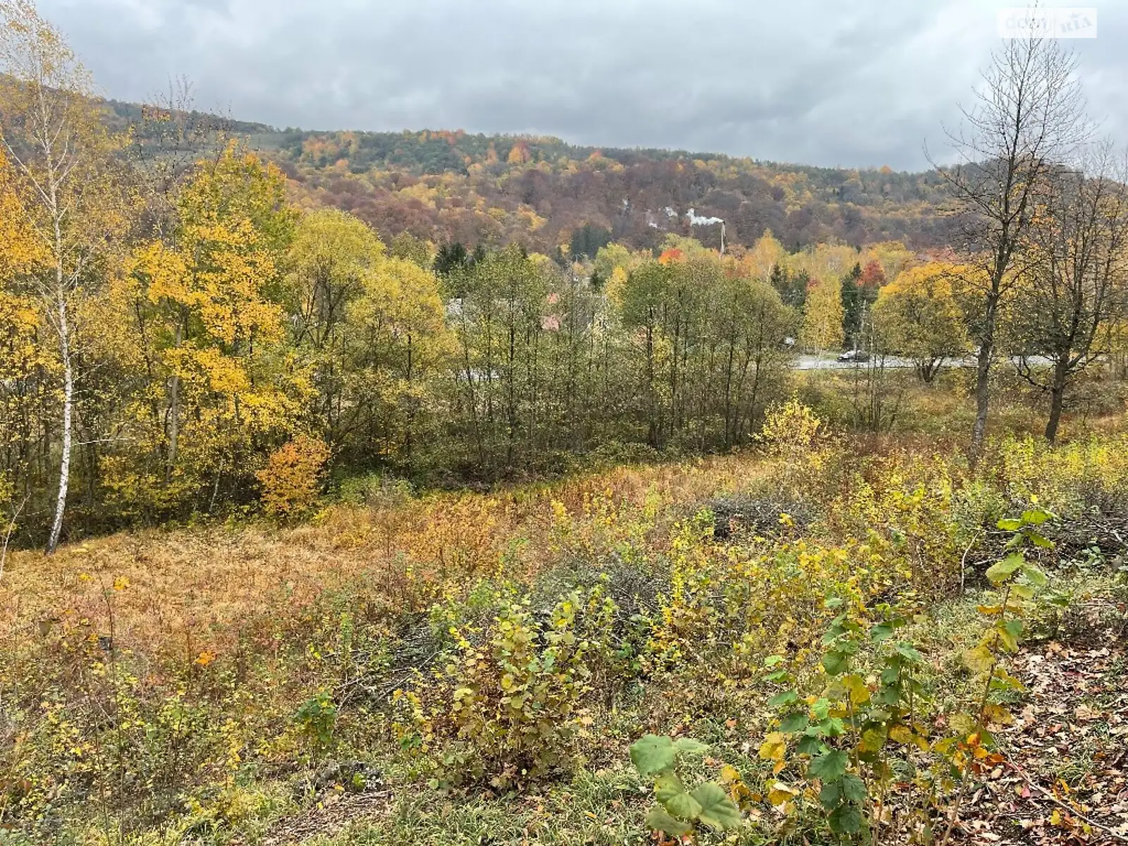 Продается земельный участок 24 соток в Закарпатской области, цена: 26400 $ - фото 1