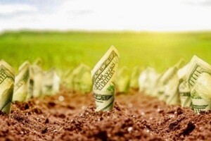 Продажа земли сельскохозяйственного назначения, Ровно, р‑н. 12-школа