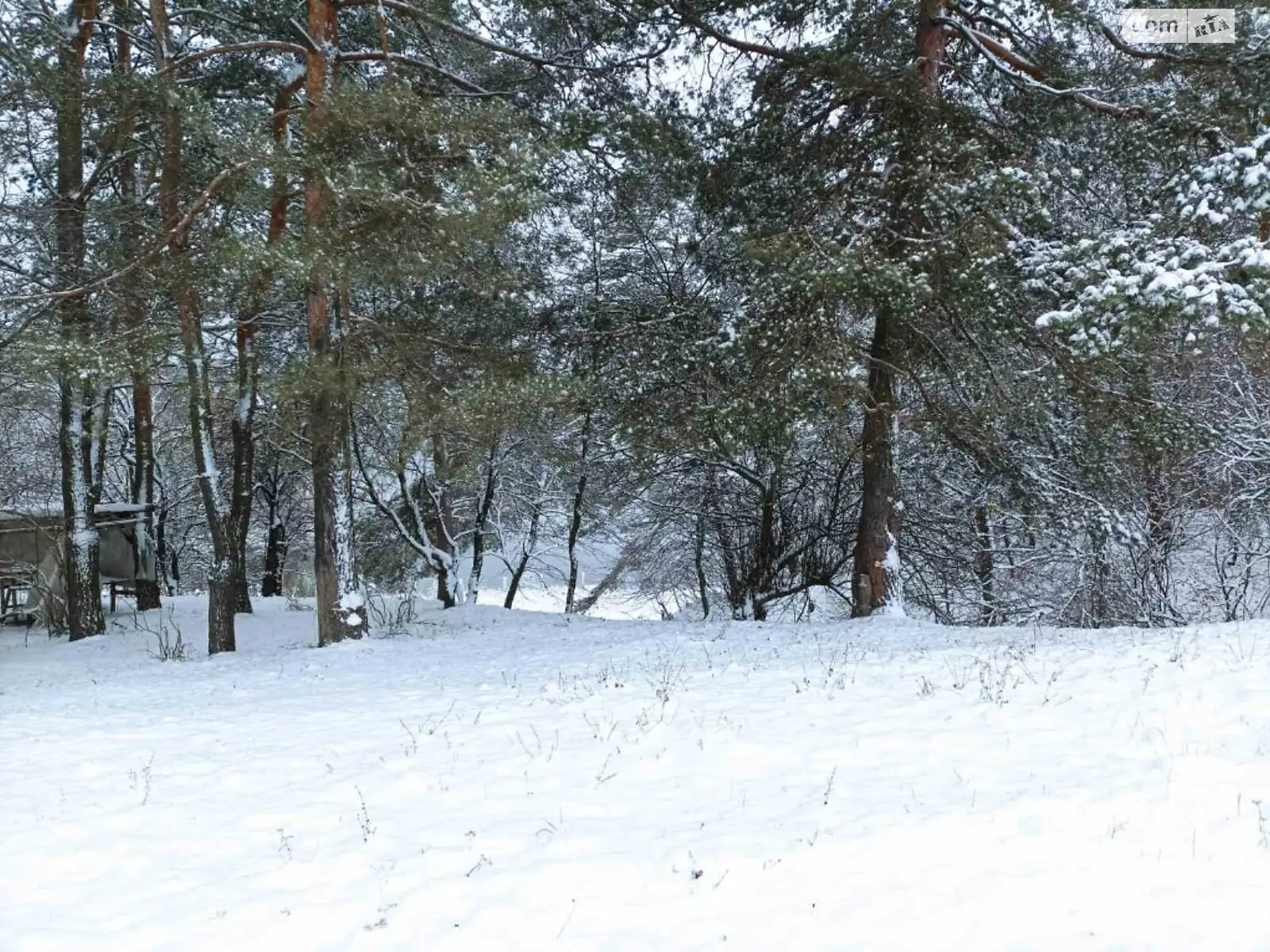 Продається земельна ділянка 10 соток у Вінницькій області - фото 3