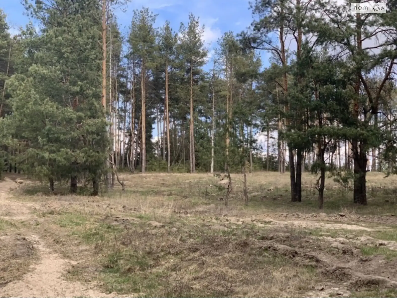 Продается земельный участок 10 соток в Киевской области, цена: 6000 $