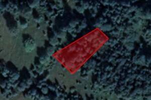 Продается земельный участок 10 соток в Ивано-Франковской области, цена: 16000 $