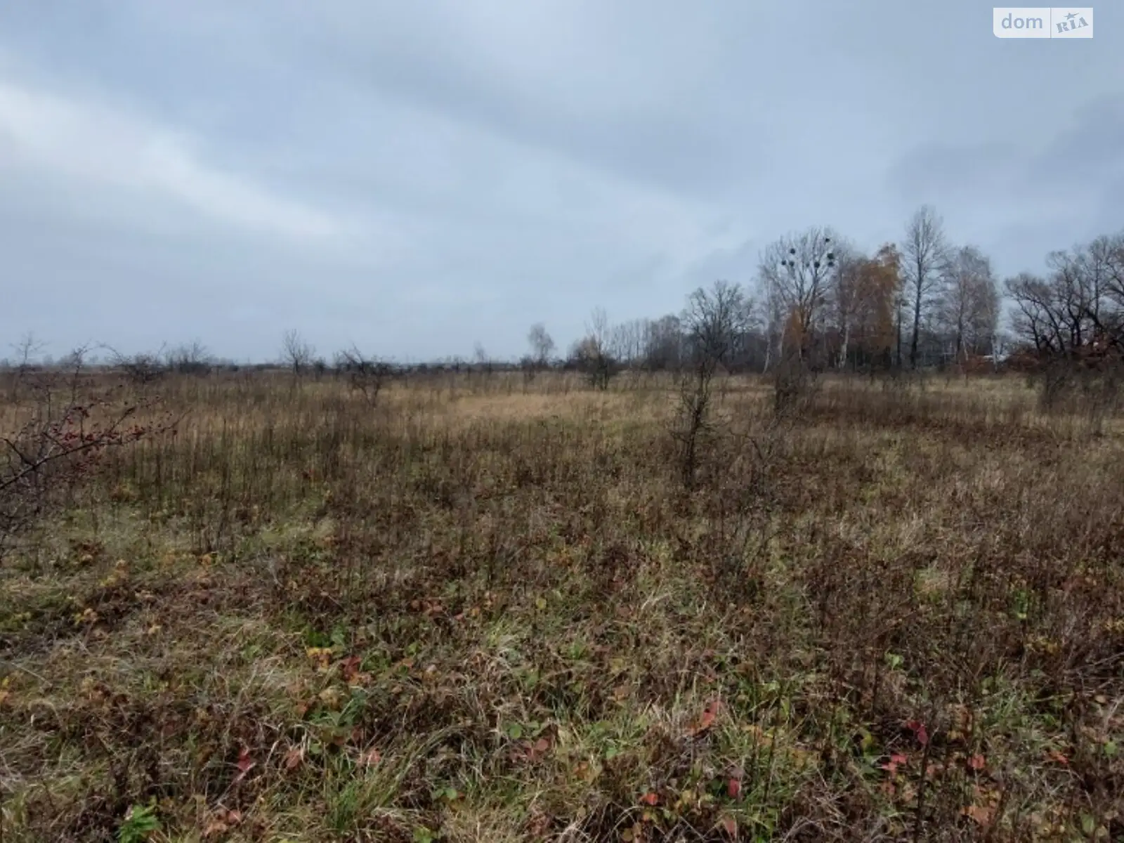 Продается земельный участок 195 соток в Львовской области - фото 2