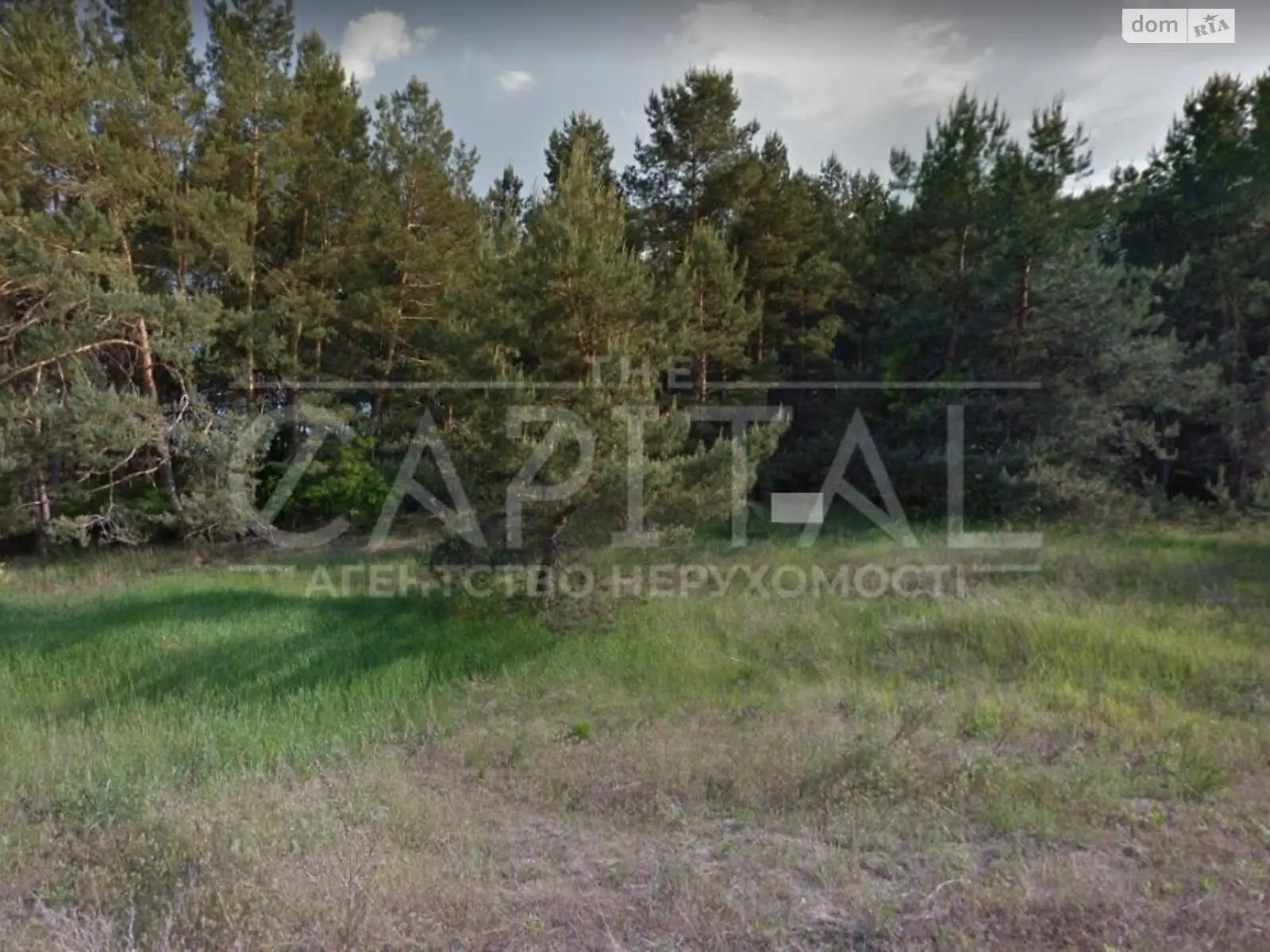 Продается земельный участок 25 соток в Киевской области, цена: 75000 $
