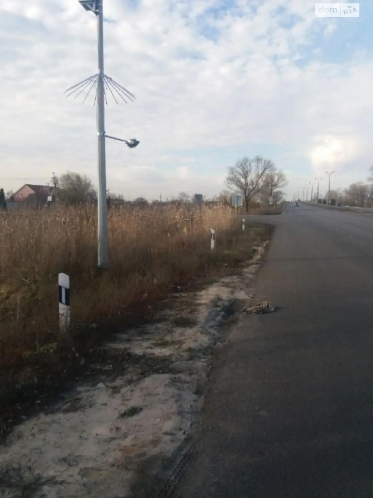 Продается земельный участок 65 соток в Днепропетровской области - фото 2