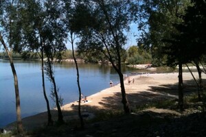 Продаж ділянки під житлову забудову, Київська, Бровари, c. Рожни