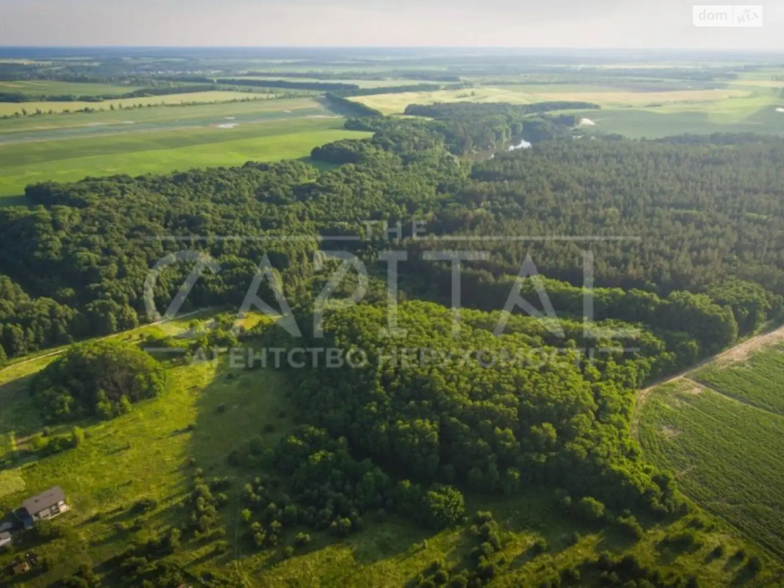 Заповедная улица Горбовичи   - фото 3