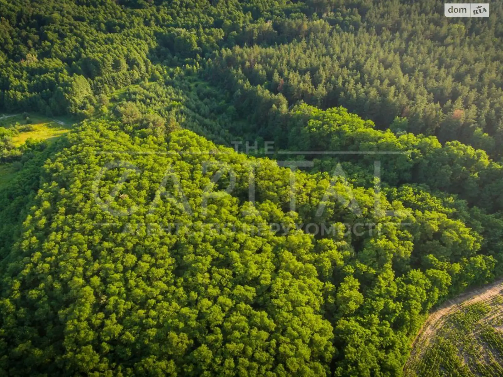 ул. Заповедная Горбовичи   - фото 2