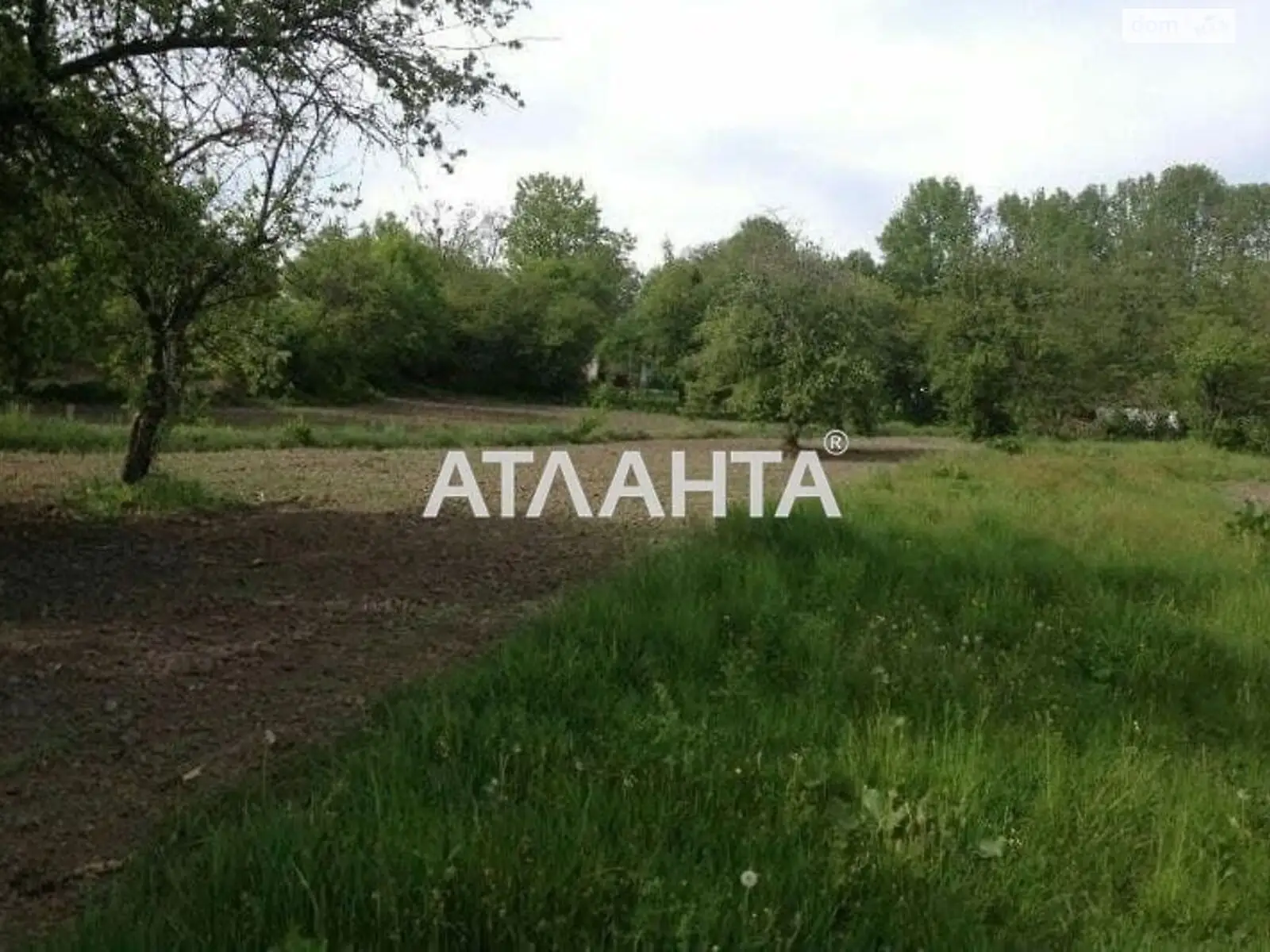 Продается земельный участок 42 соток в Одесской области - фото 2