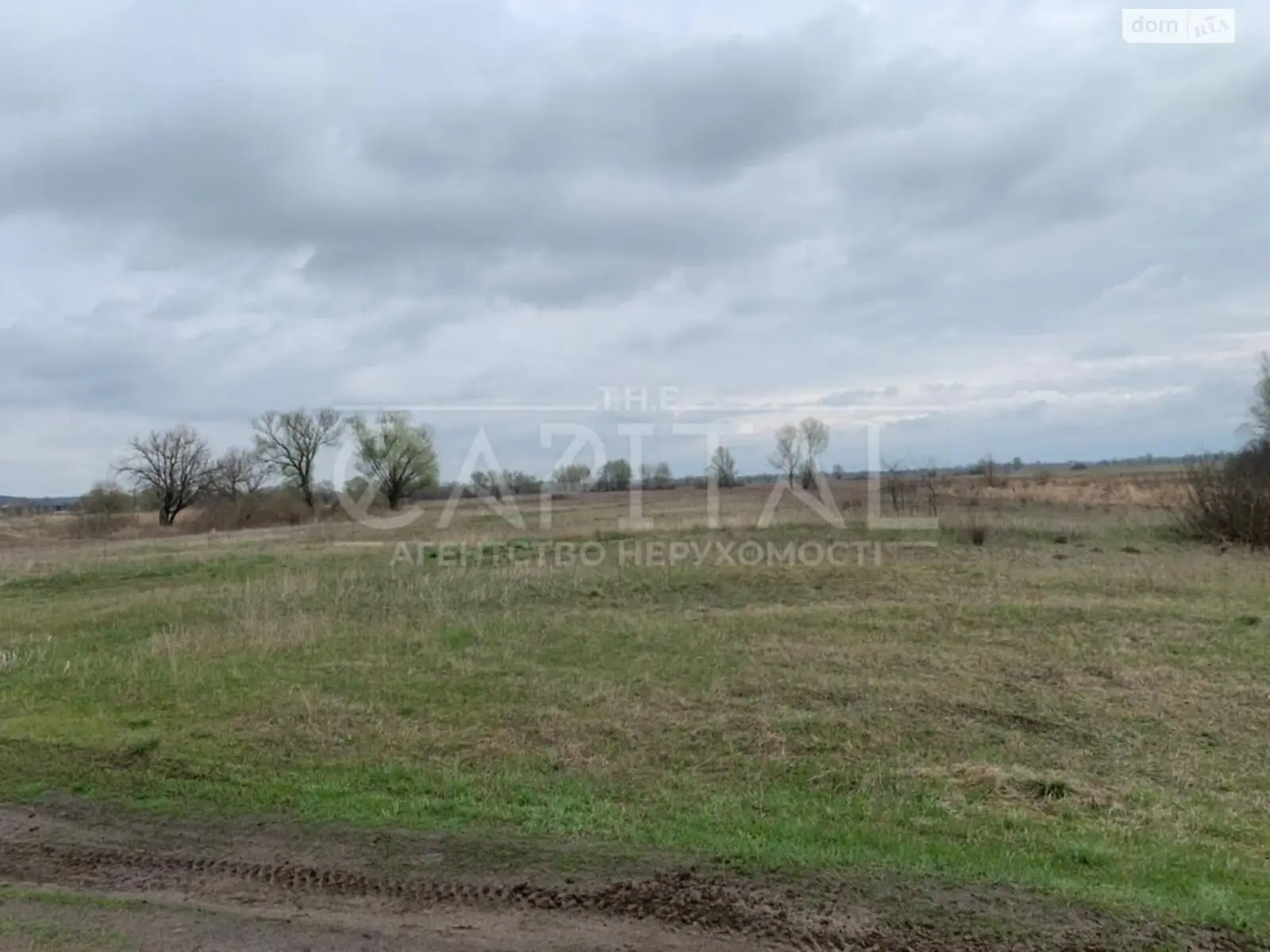 Продається земельна ділянка 160 соток у Київській області - фото 3