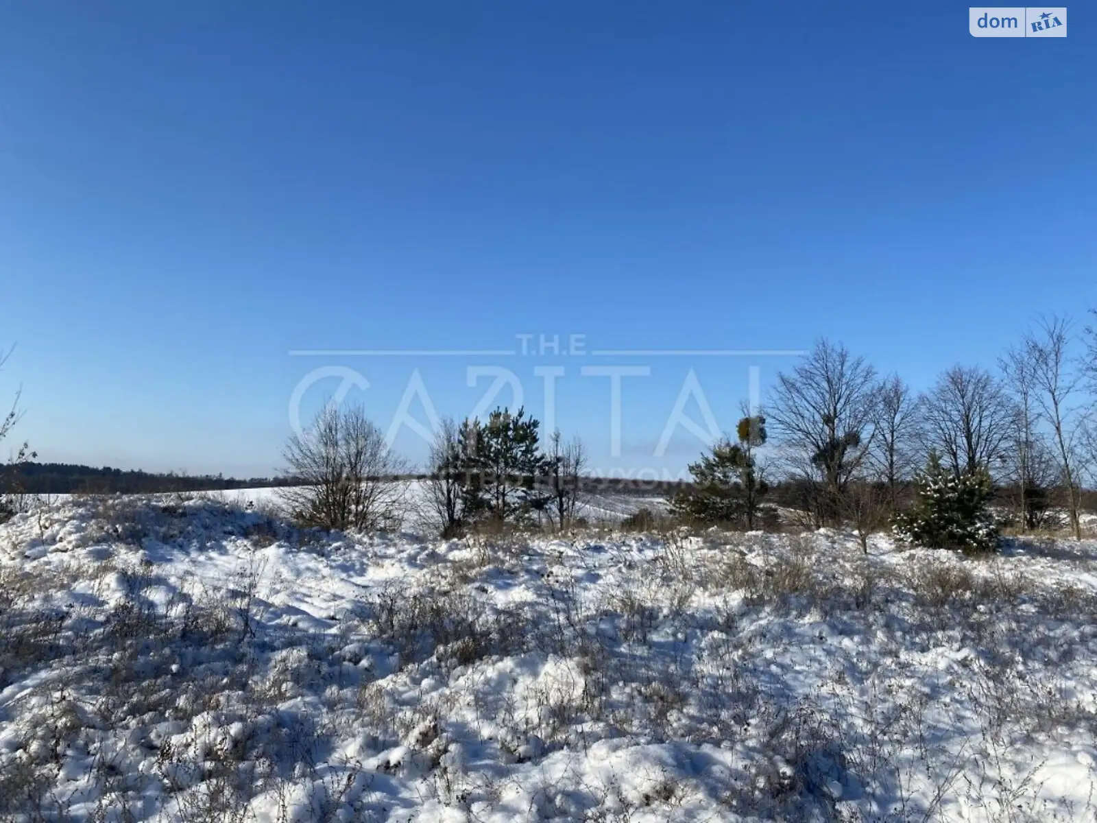 Продается земельный участок 720 соток в Киевской области - фото 3