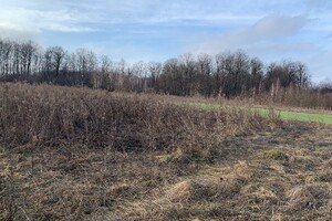 Продажа участка под жилую застройку, Винницкая, Писаревка (Винница), Покровская (Ленина) улица