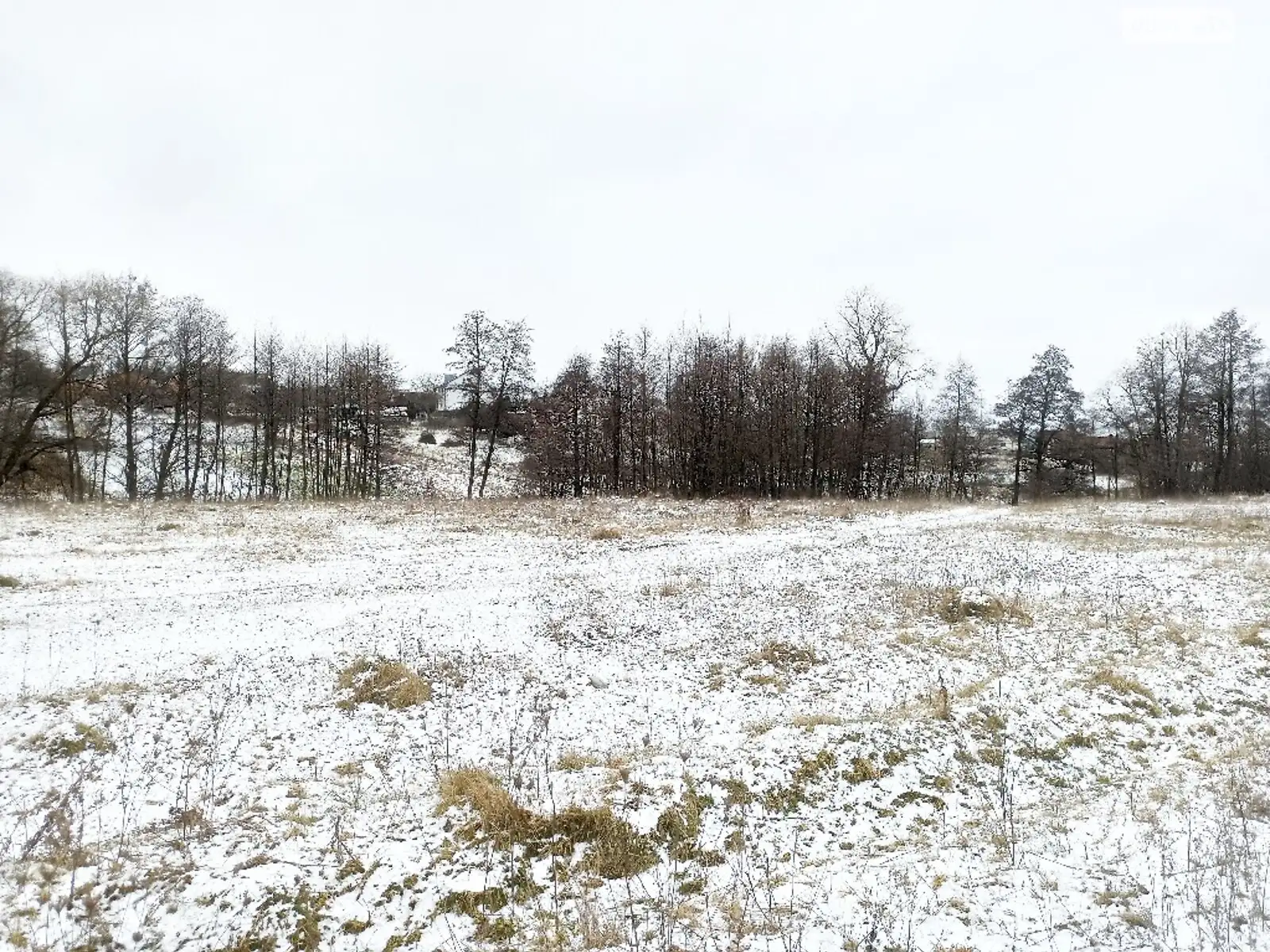 Продается земельный участок 11 соток в Винницкой области - фото 2