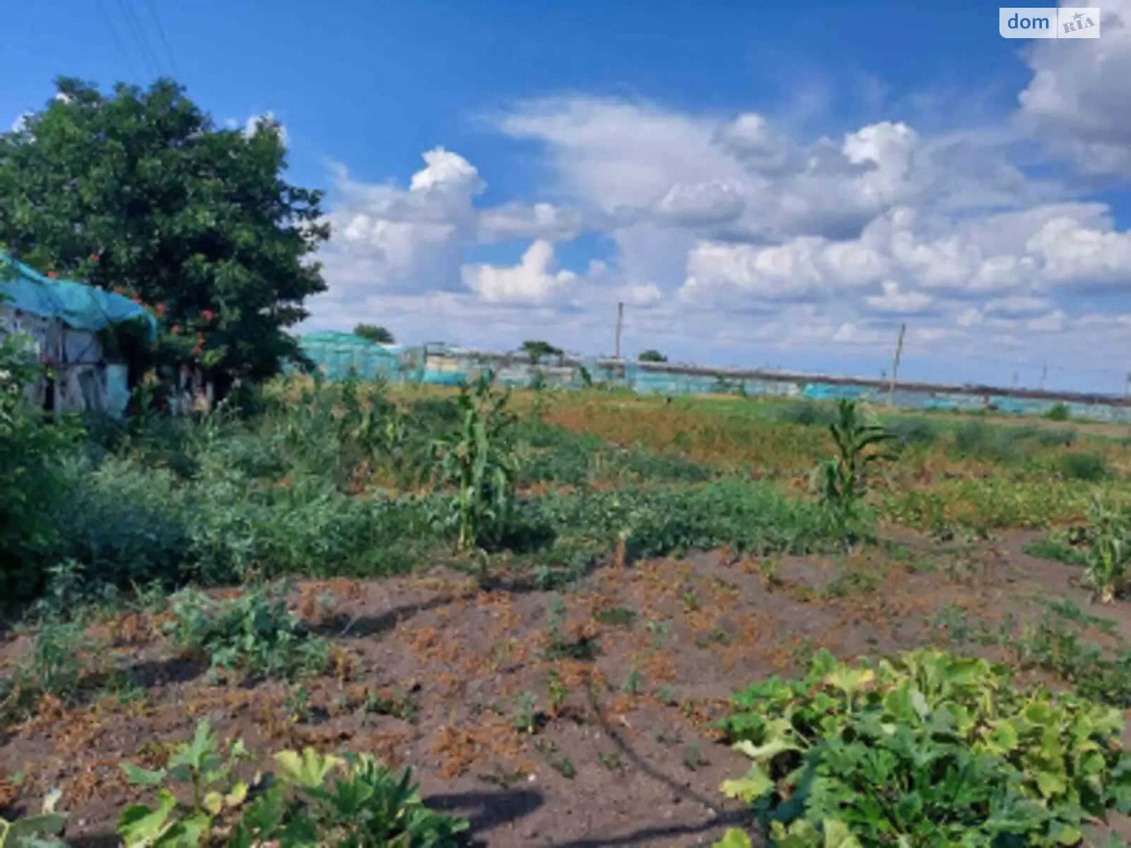 Продается земельный участок 13 соток в Одесской области, цена: 9000 $ - фото 1