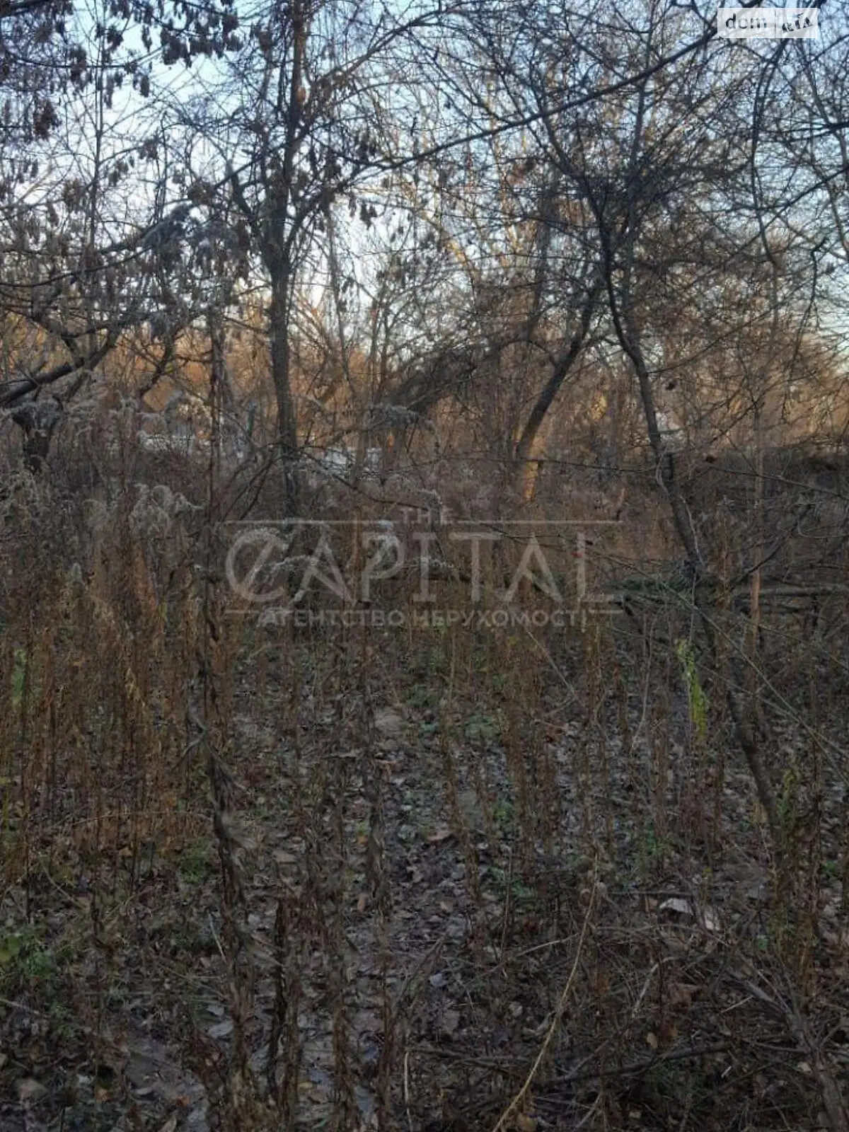 Продается земельный участок 6.47 соток в Киевской области - фото 3
