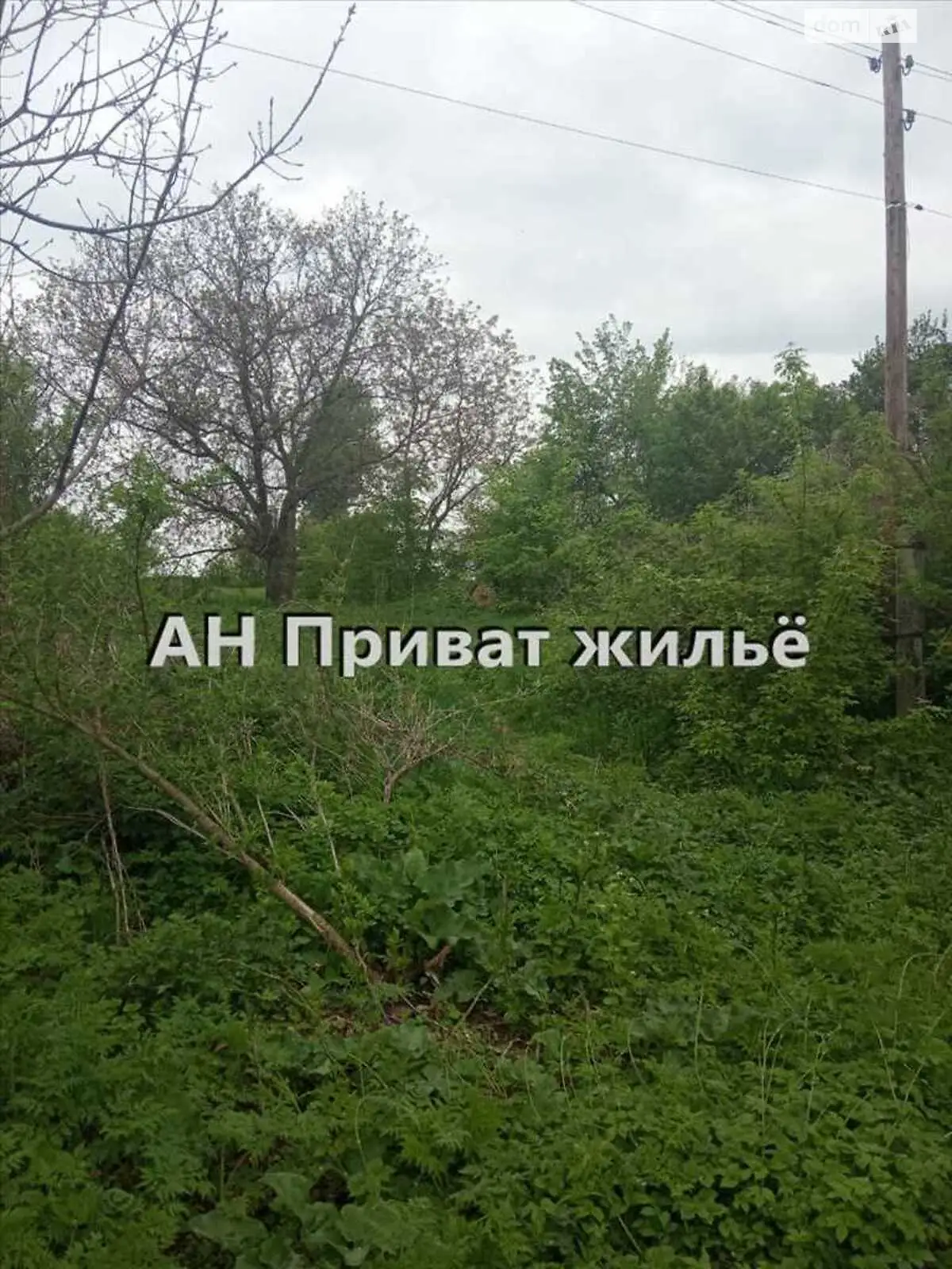 Продается земельный участок 22 соток в Полтавской области - фото 2