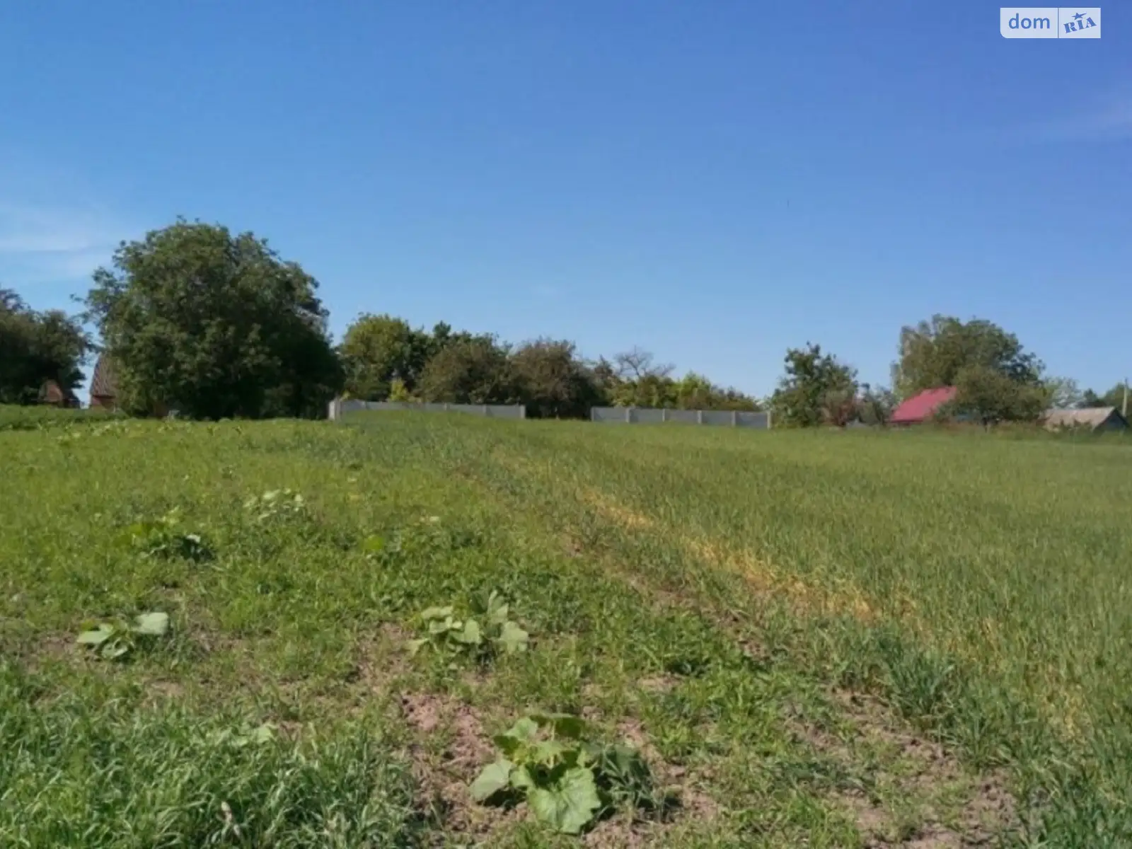 Продается земельный участок 13.25 соток в Киевской области - фото 2