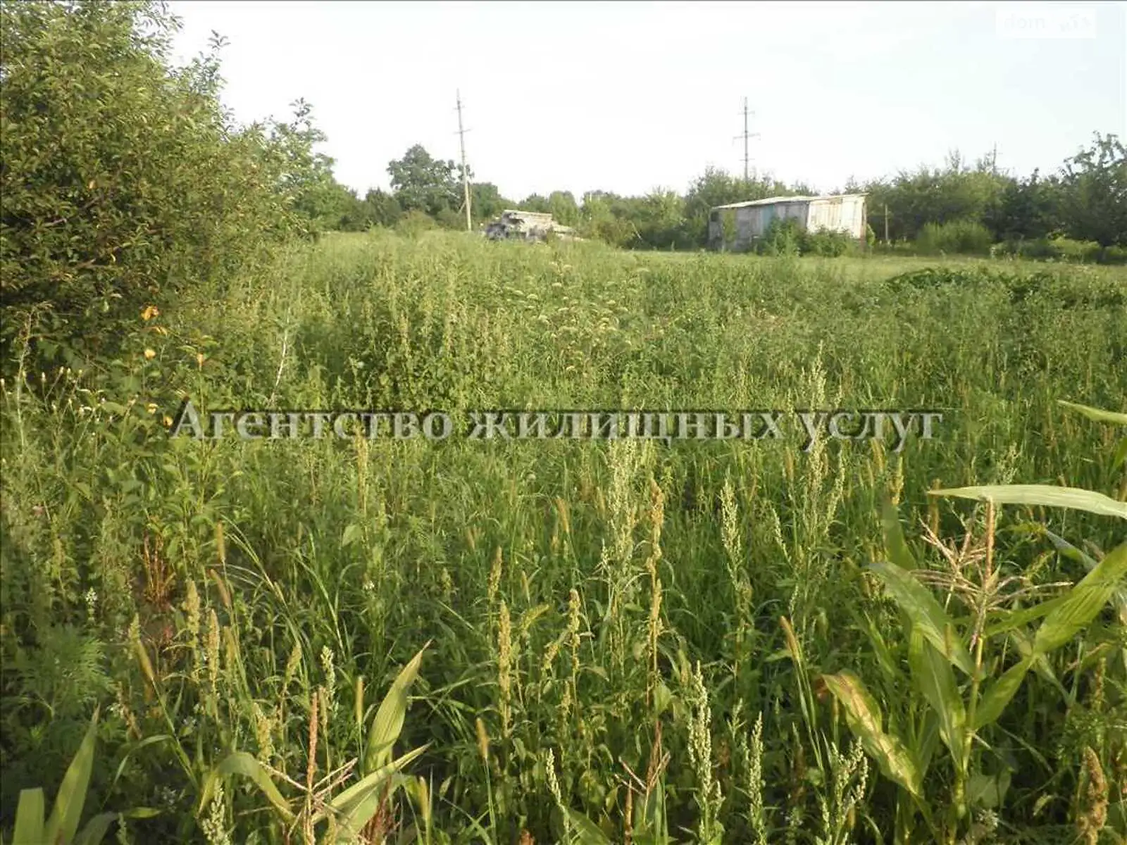 Продается земельный участок 12 соток в Полтавской области - фото 3