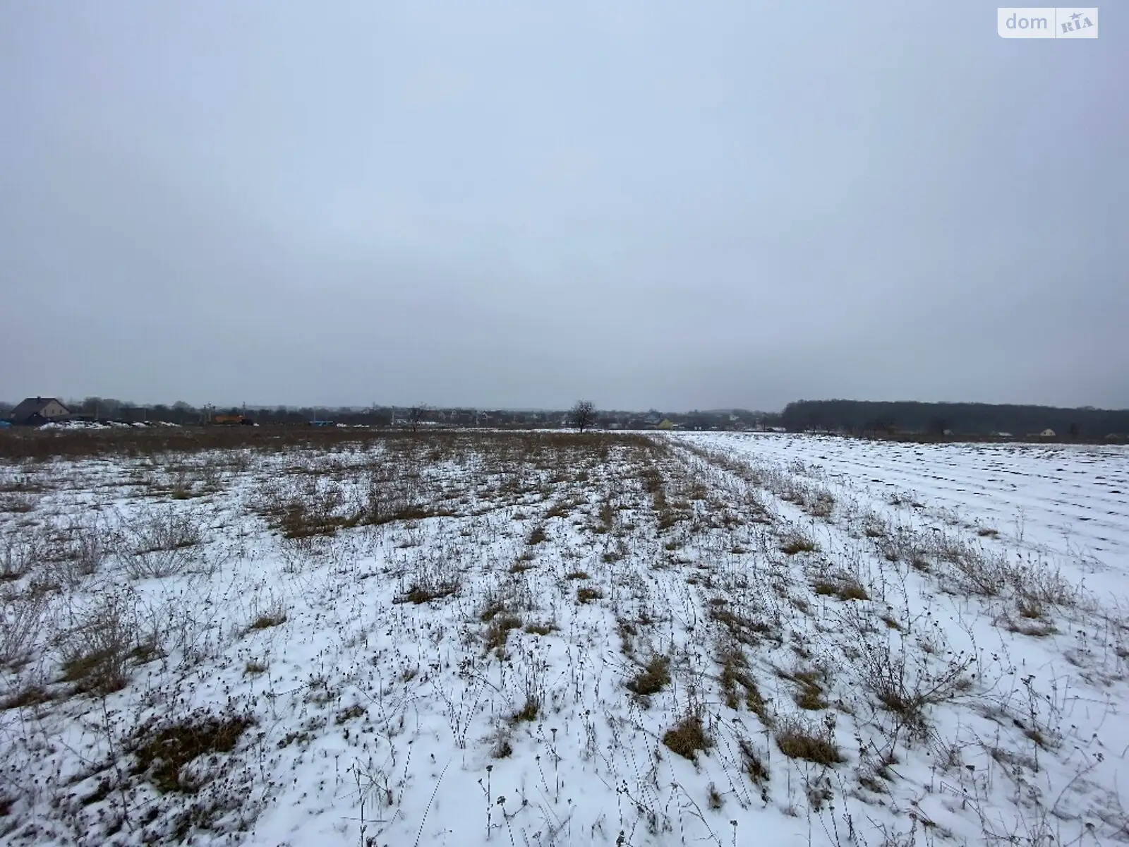 Продається земельна ділянка 20 соток у Вінницькій області - фото 2