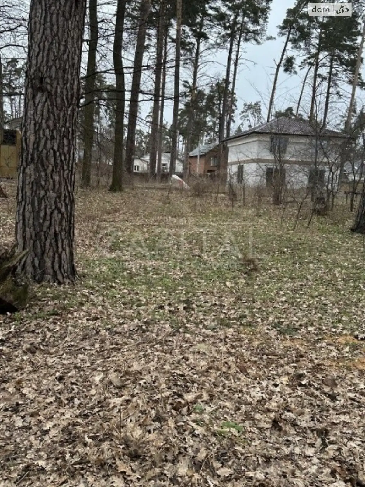 Продается земельный участок 5.5 соток в Киевской области - фото 2